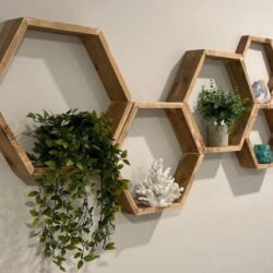 Hexagon Shelves